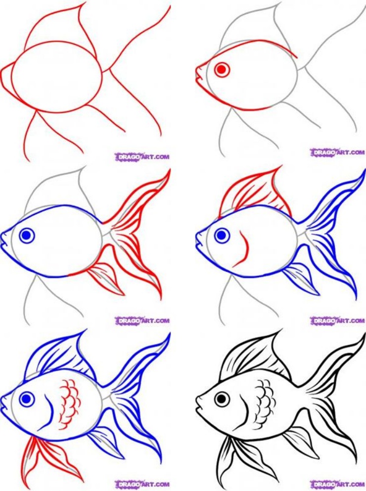 Cách vẽ con cá đẹp Đủ 101 hình vẽ cá biến hoá đủ hình dáng màu sắc  Đại  Việt Sài Gòn